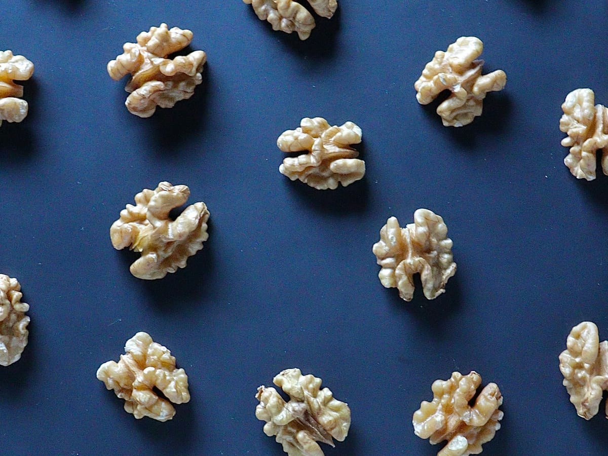 ▪️ 創傷如何影響我們的大腦