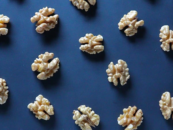 ▪️ 創傷如何影響我們的大腦